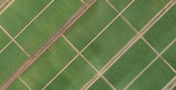 Orthophotoplans d'une exploitation agricole et d'un village en Afrique - Toposat