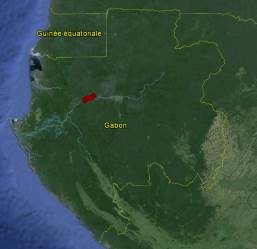 Polygonale de chantier entre Ndolé et Manioc (Gabon)